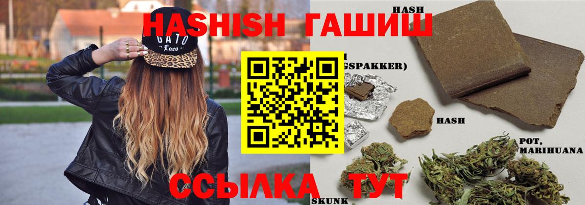 ГАШ Premium Камышин