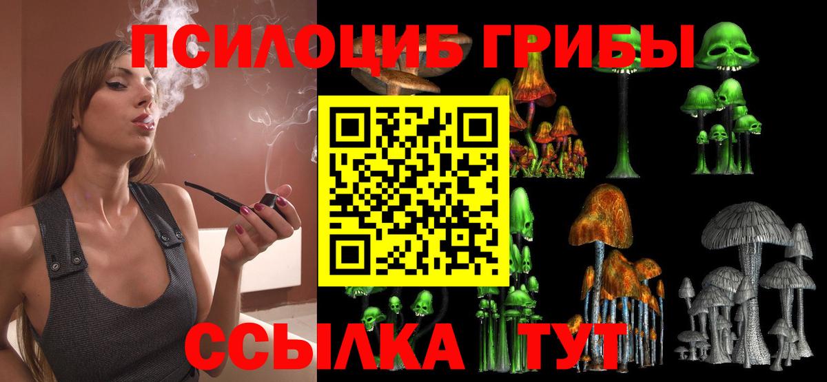 наркошоп  Вход с VPN  Камышин  Галлюциногенные грибы Psilocybine cubensis 