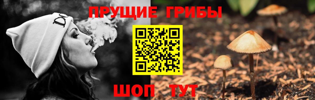 Псилоцибиновые грибы ЛСД Камышин